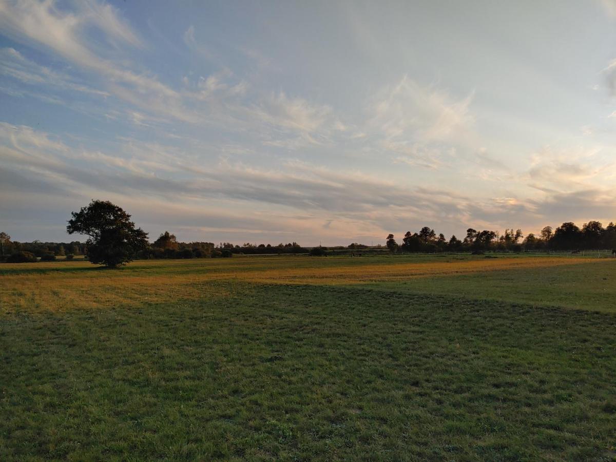 Skrzeszew Masuria Warsaw 빌라 외부 사진