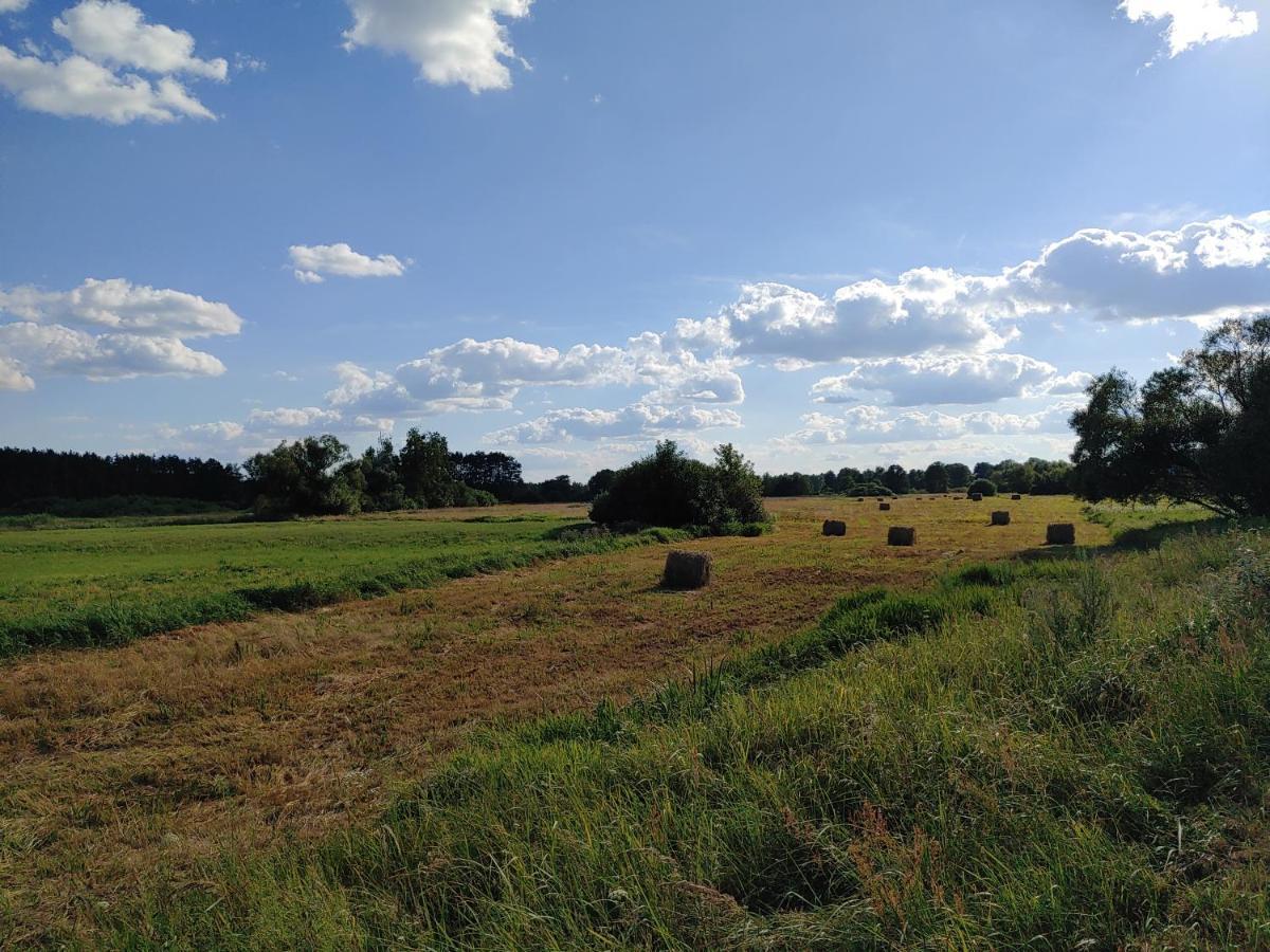 Skrzeszew Masuria Warsaw 빌라 외부 사진