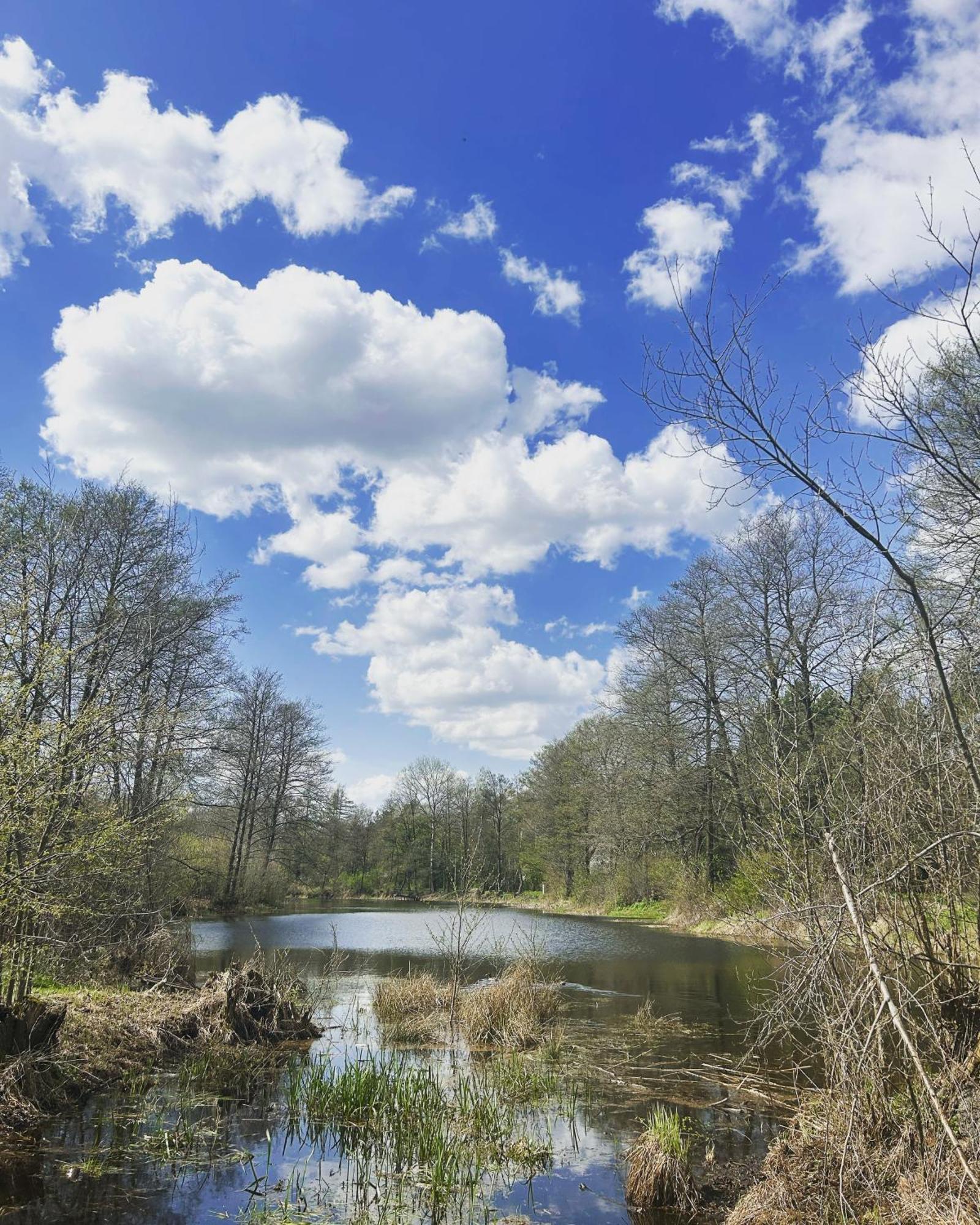 Skrzeszew Masuria Warsaw 빌라 외부 사진