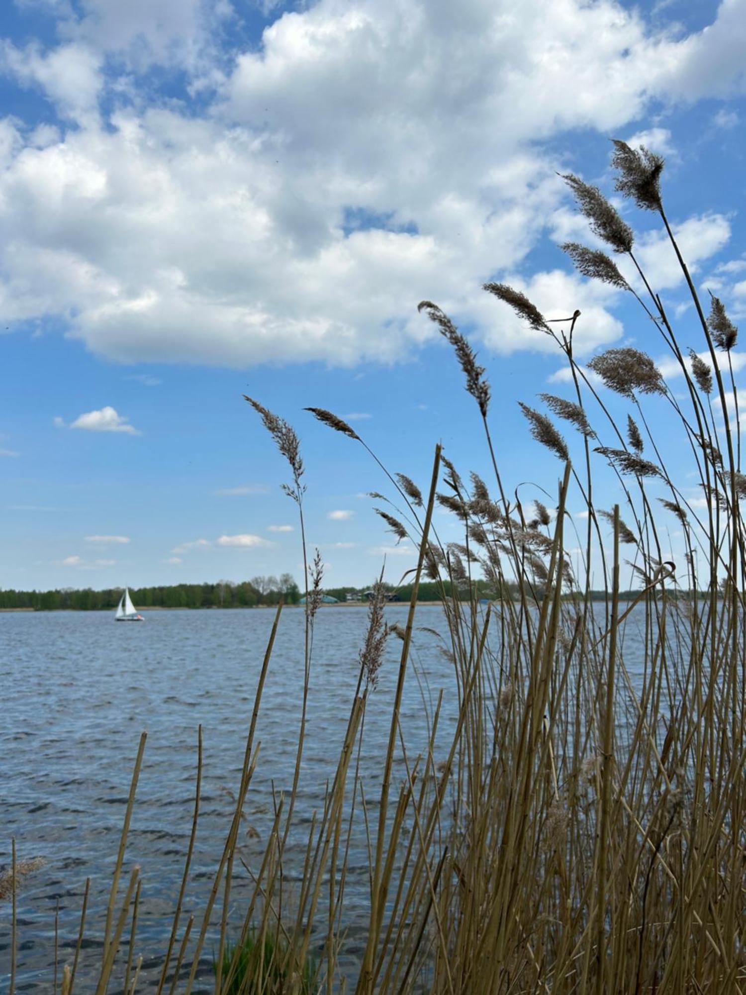 Skrzeszew Masuria Warsaw 빌라 외부 사진