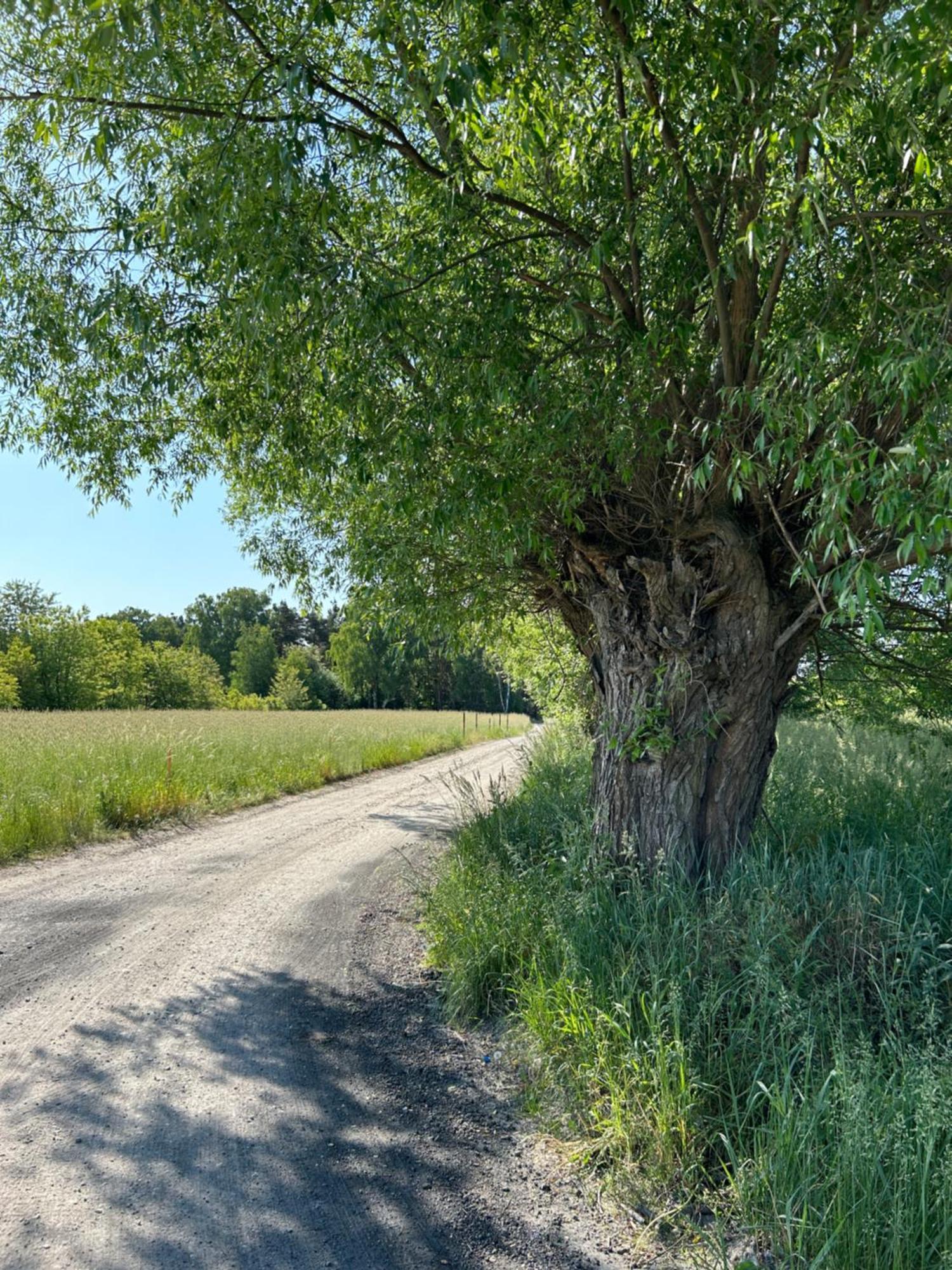 Skrzeszew Masuria Warsaw 빌라 외부 사진