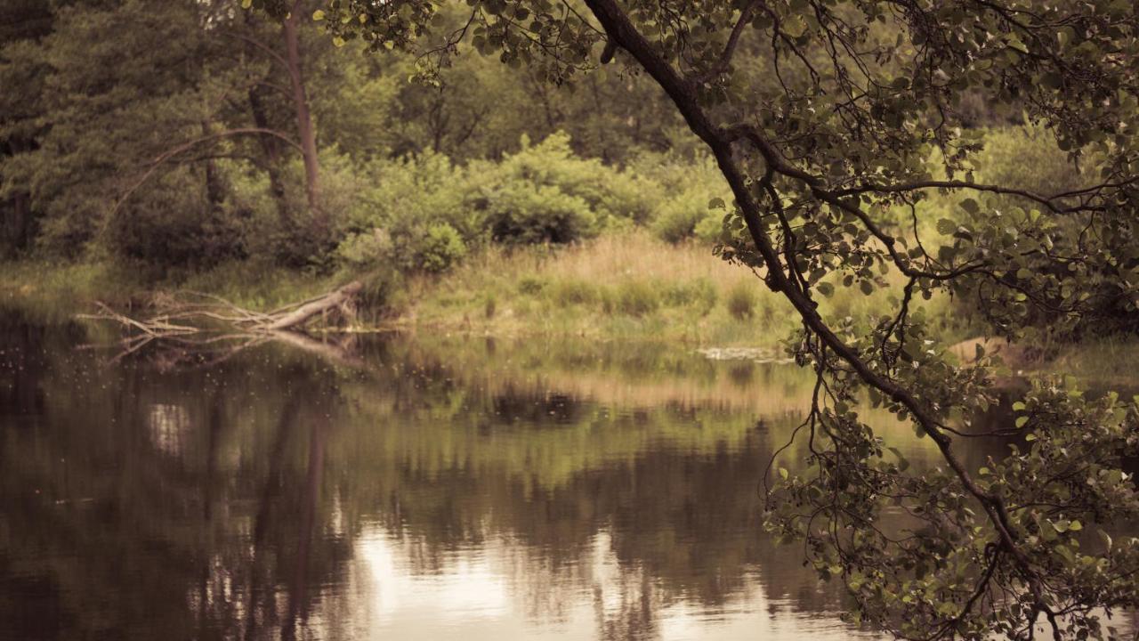 Skrzeszew Masuria Warsaw 빌라 외부 사진
