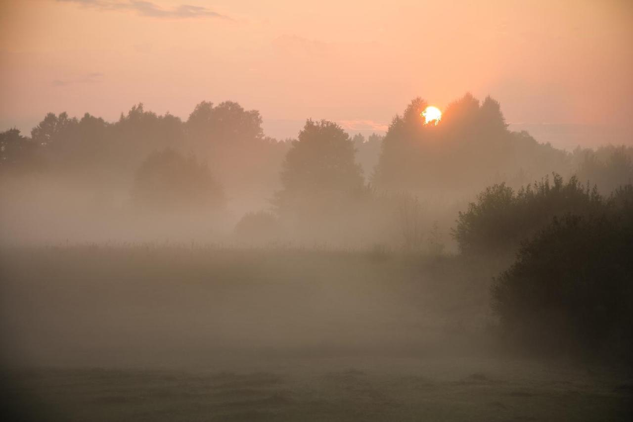 Skrzeszew Masuria Warsaw 빌라 외부 사진