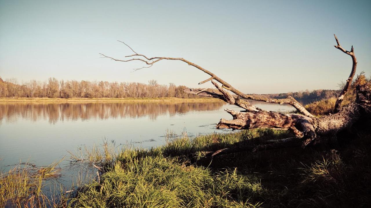 Skrzeszew Masuria Warsaw 빌라 외부 사진