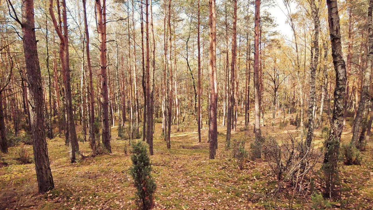 Skrzeszew Masuria Warsaw 빌라 외부 사진
